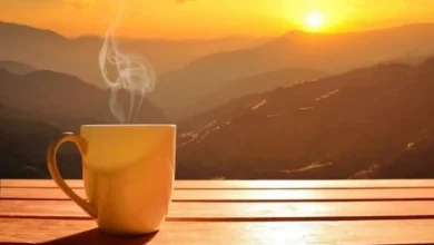 wellhealthorganic.com : morning coffee tips with no side effect