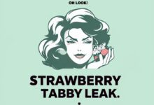 StrawberryTabby Leak